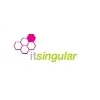 IT Singular
